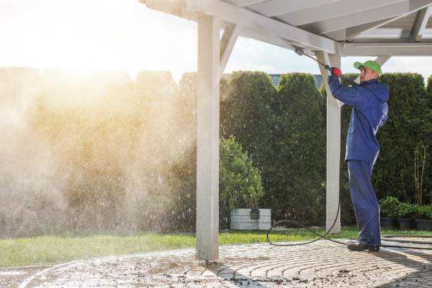 Best Patio and Deck Pressure Washing  in Lemoore, CA