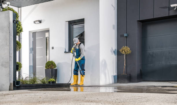 Best Driveway Pressure Washing  in Lemoore, CA